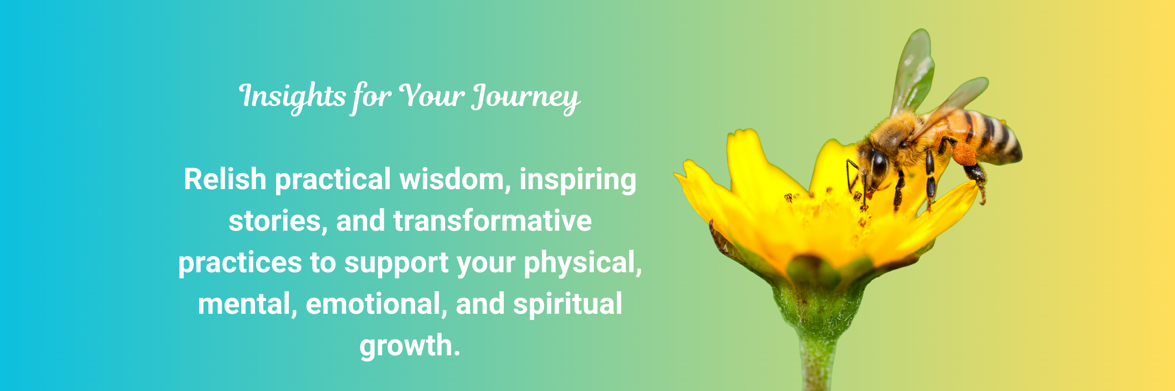 Insights for Your Journey